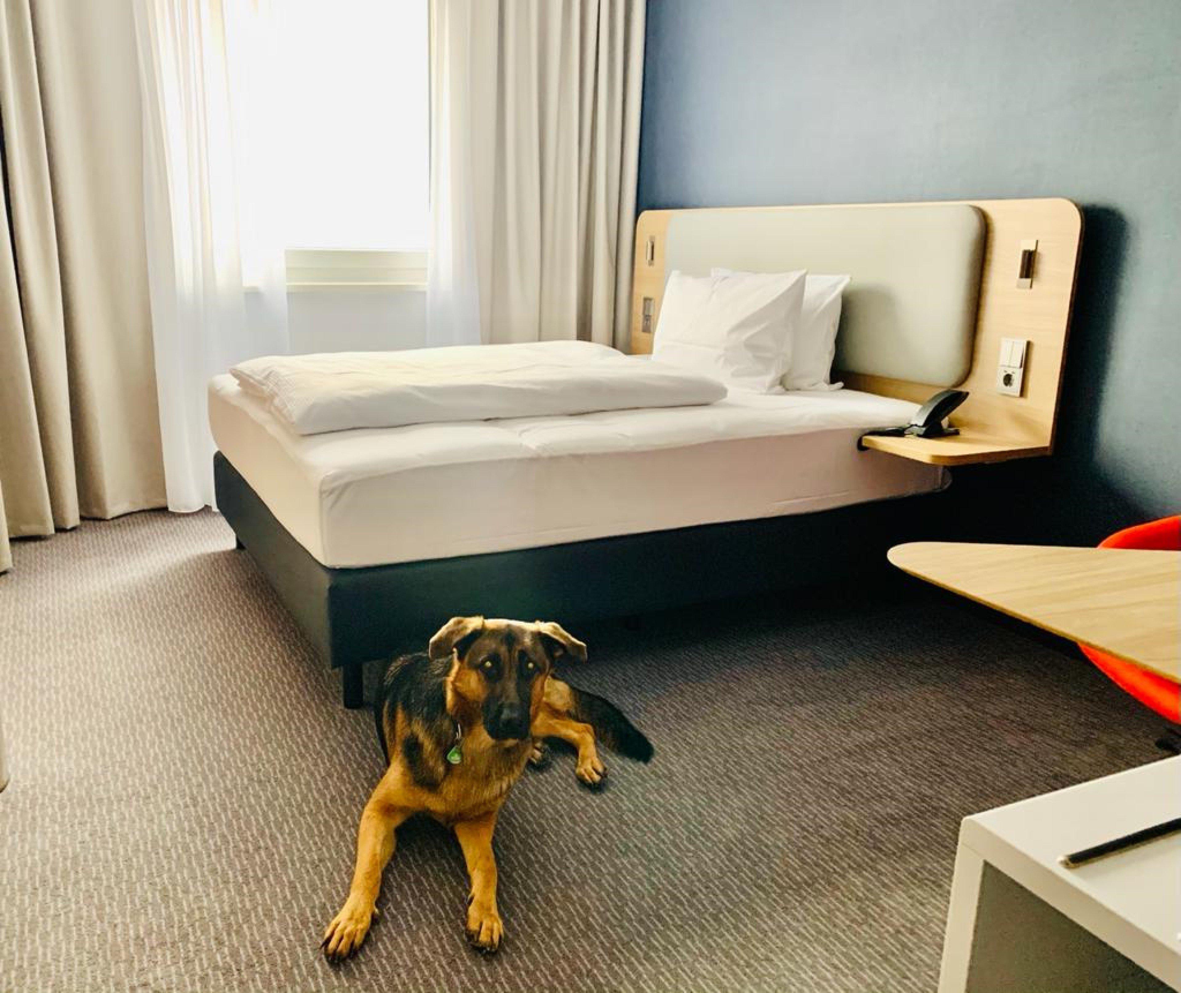 Holiday Inn Express Munich - Olching By Ihg Extérieur photo